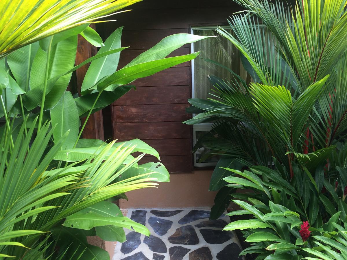 Mussaenda, Arenal Hotel La Fortuna ภายนอก รูปภาพ
