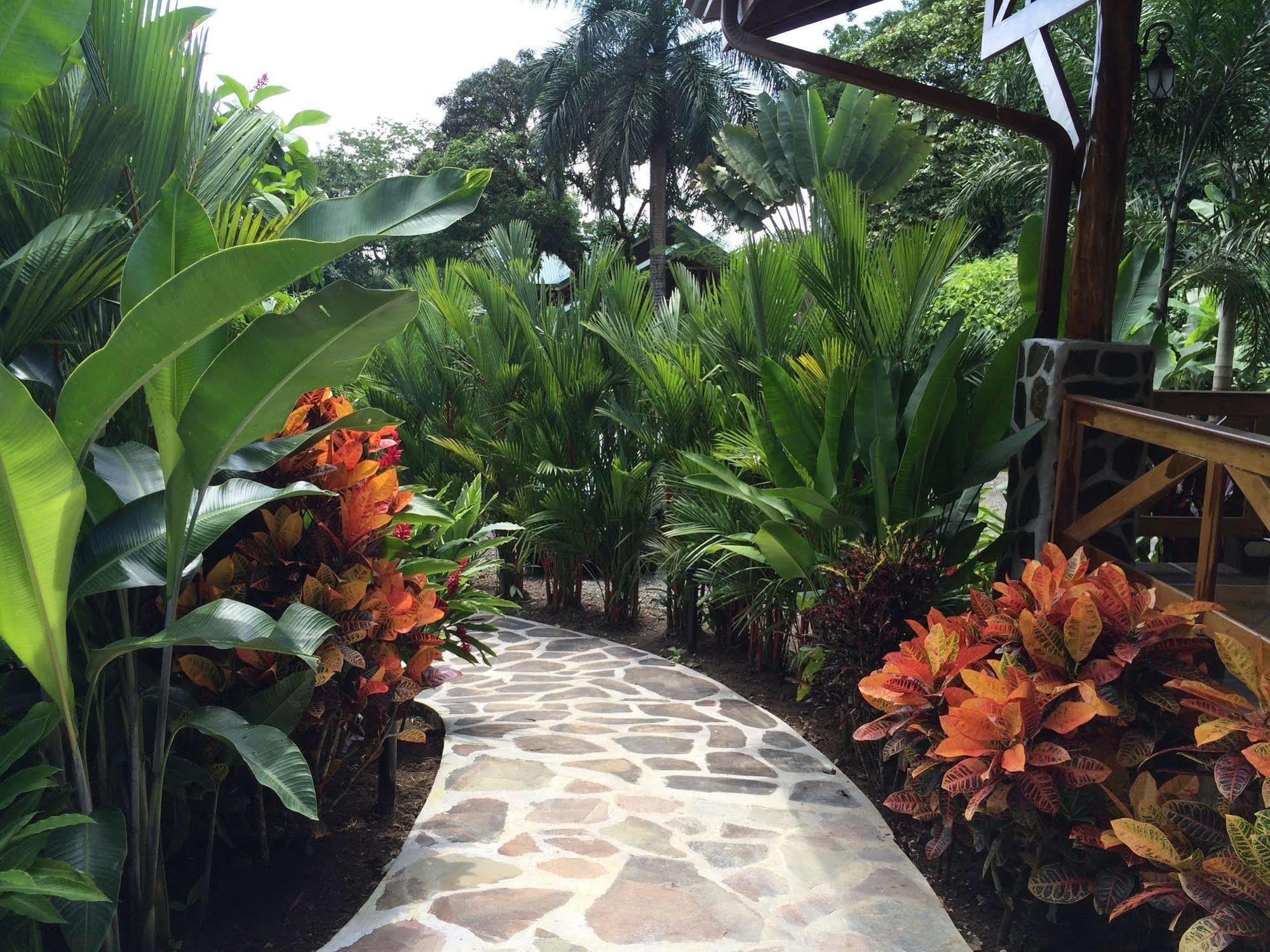 Mussaenda, Arenal Hotel La Fortuna ภายนอก รูปภาพ