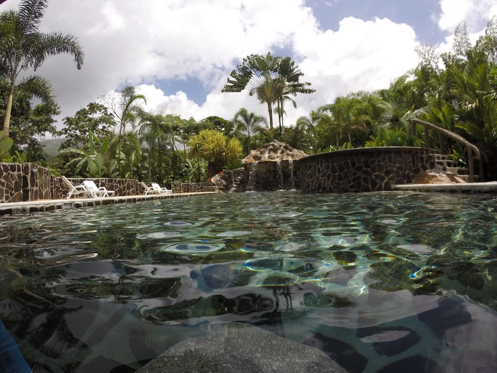 Mussaenda, Arenal Hotel La Fortuna ภายนอก รูปภาพ