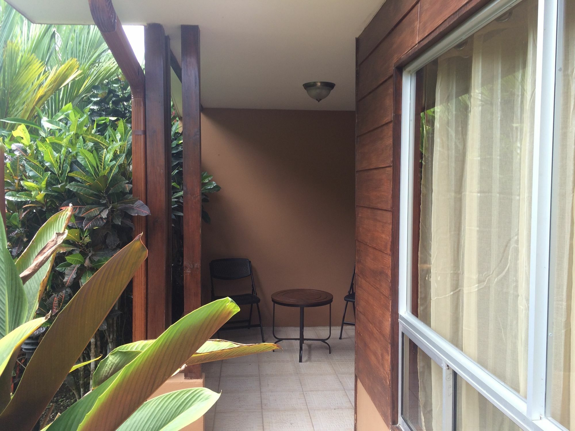 Mussaenda, Arenal Hotel La Fortuna ภายนอก รูปภาพ