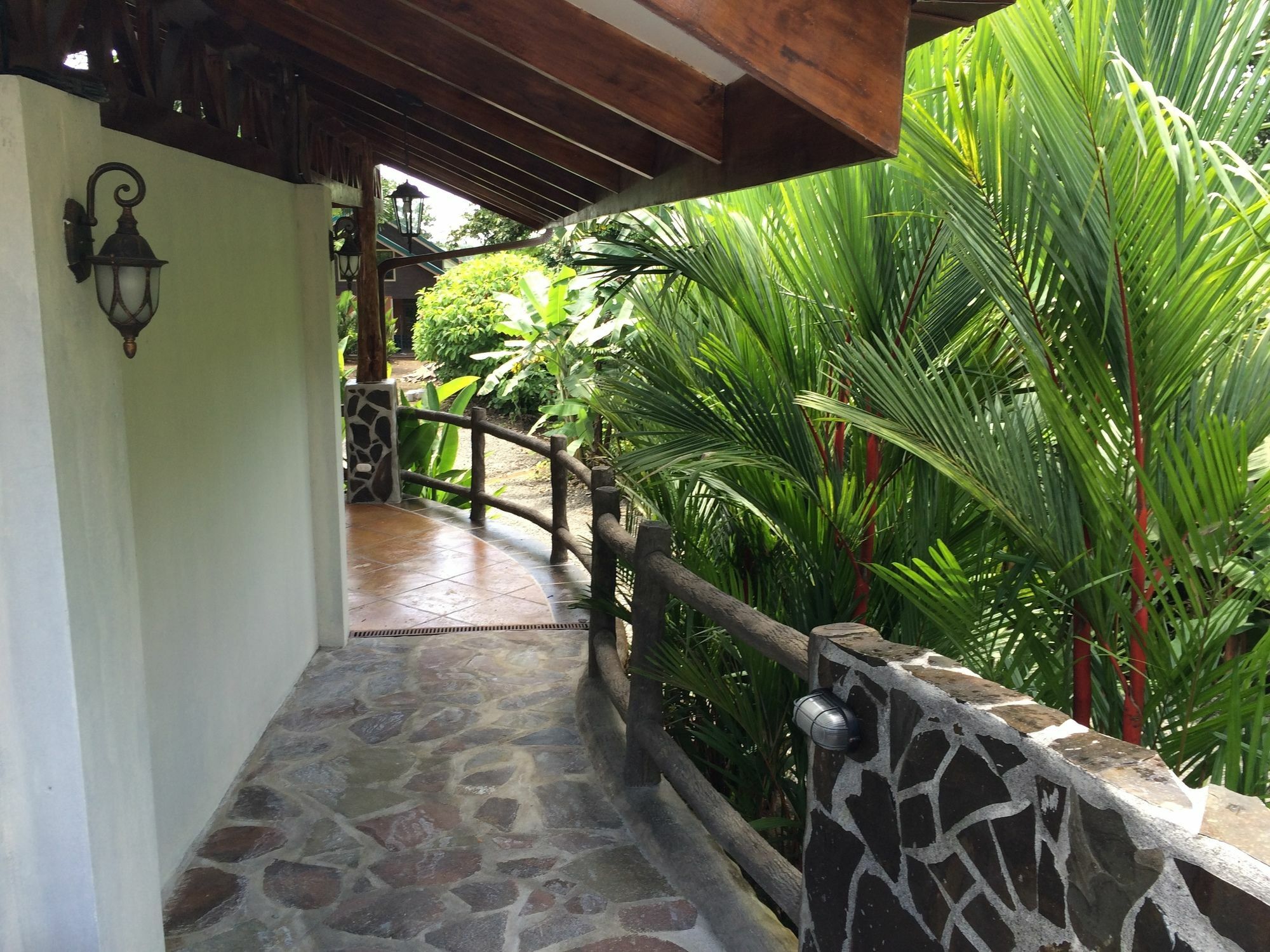 Mussaenda, Arenal Hotel La Fortuna ภายนอก รูปภาพ