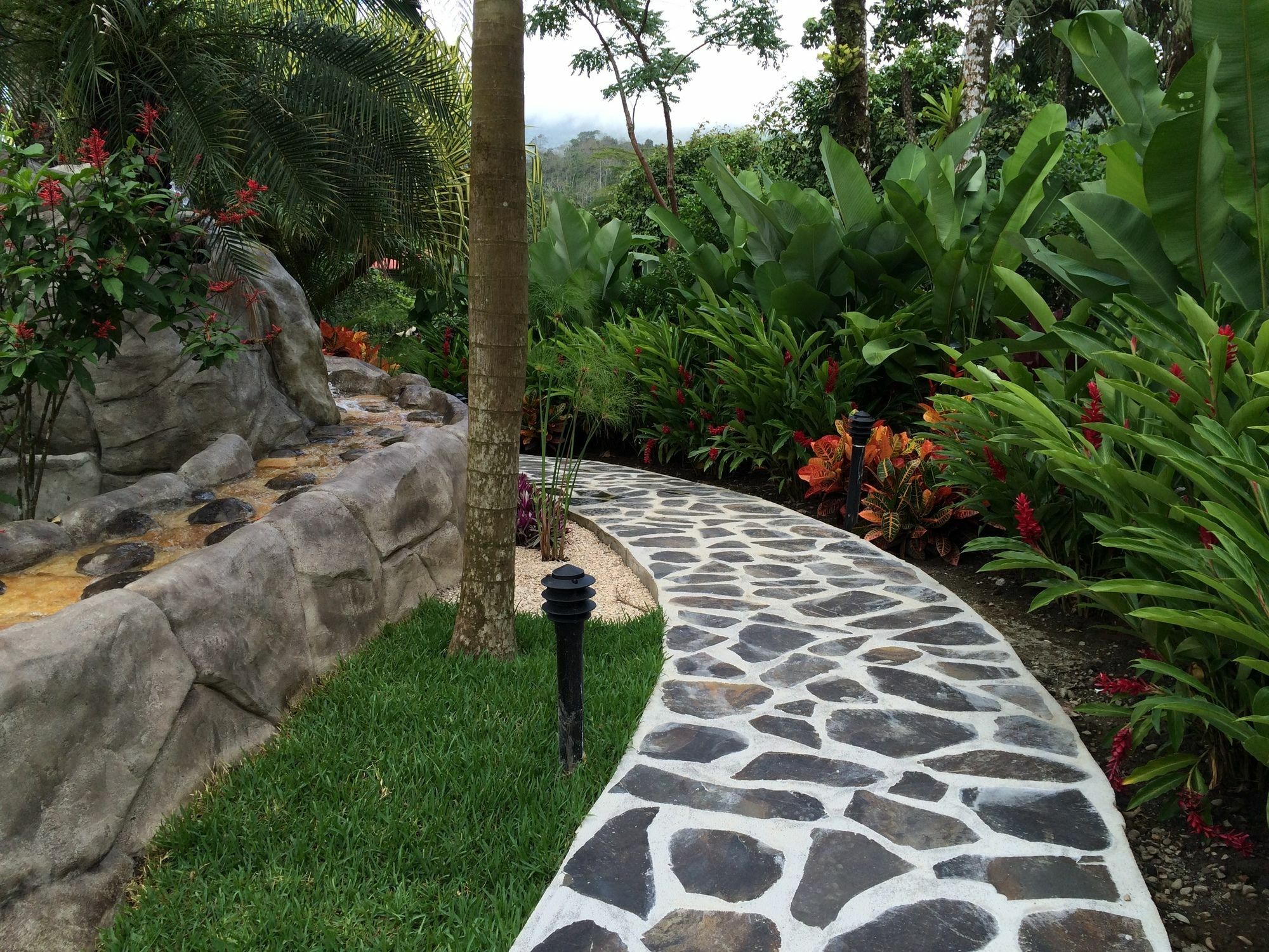 Mussaenda, Arenal Hotel La Fortuna ภายนอก รูปภาพ